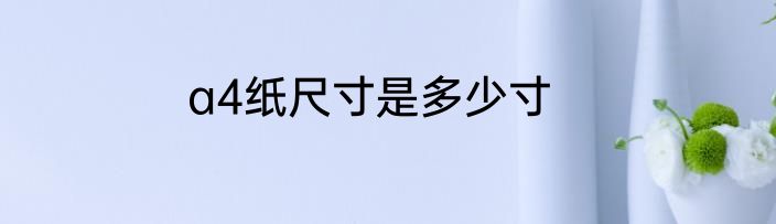 a4纸尺寸是多少寸