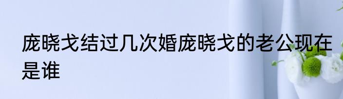 庞晓戈结过几次婚庞晓戈的老公现在是谁
