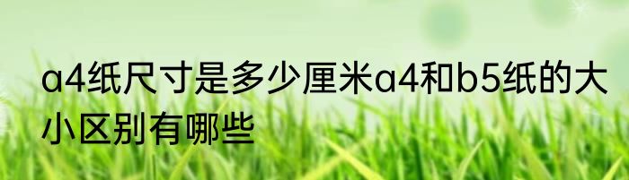 a4纸尺寸是多少厘米a4和b5纸的大小区别有哪些