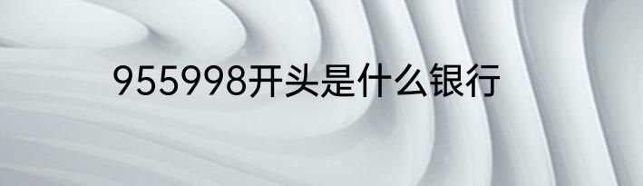 955998开头是什么银行