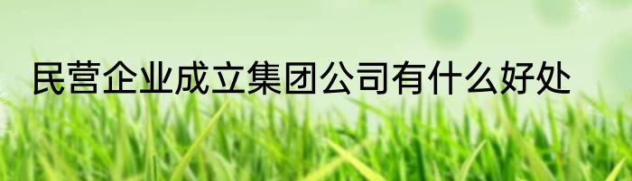 民营企业成立集团公司有什么好处