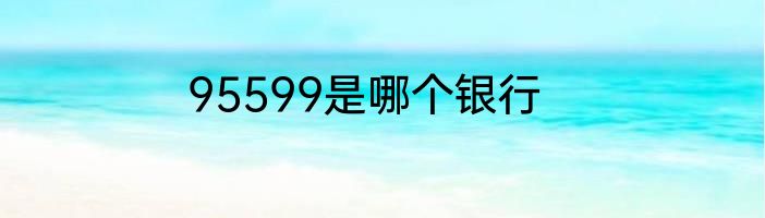 95599是哪个银行