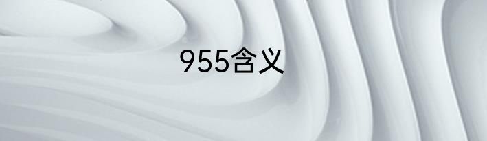 955含义