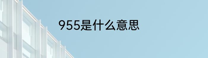 955是什么意思