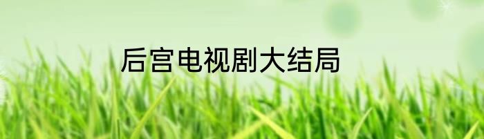 后宫电视剧大结局