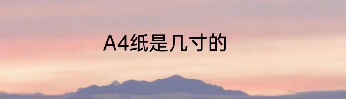 A4纸是几寸的
