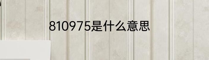 810975是什么意思