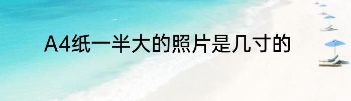 A4纸一半大的照片是几寸的