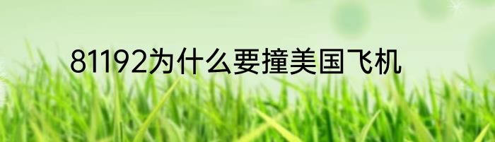 81192为什么要撞美国飞机