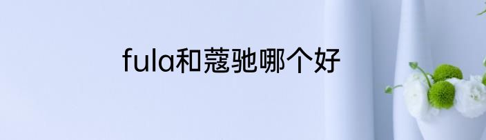 fula和蔻驰哪个好