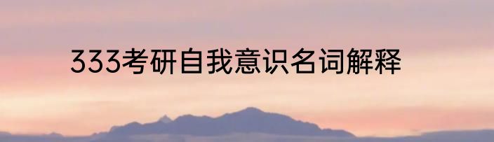 333考研自我意识名词解释
