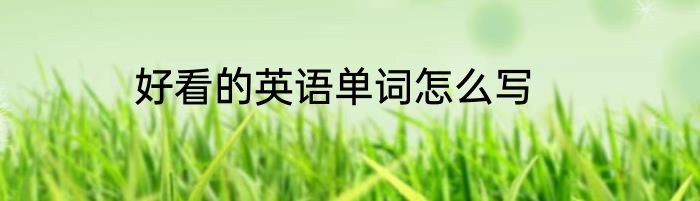 好看的英语单词怎么写