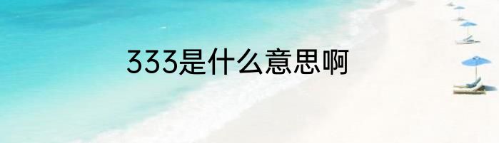 333是什么意思啊
