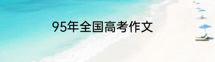 95年全国高考作文
