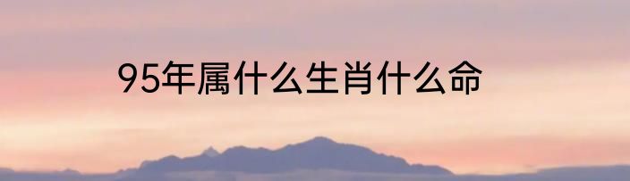 95年属什么生肖什么命