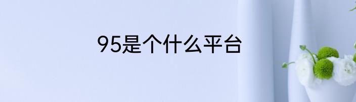 95是个什么平台