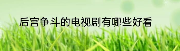后宫争斗的电视剧有哪些好看