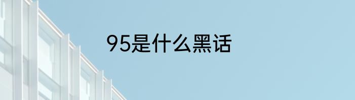 95是什么黑话
