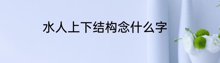 水人上下结构念什么字