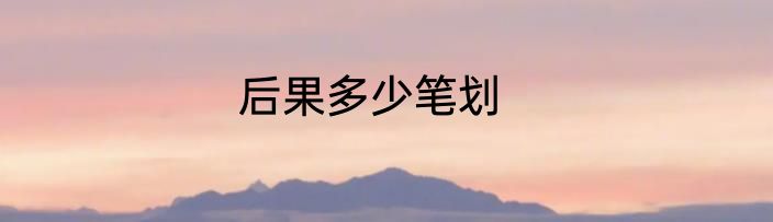 后果多少笔划