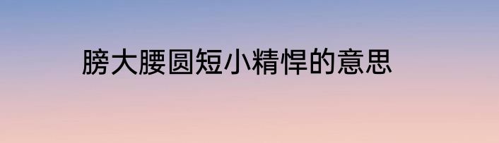膀大腰圆短小精悍的意思