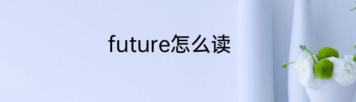 future怎么读