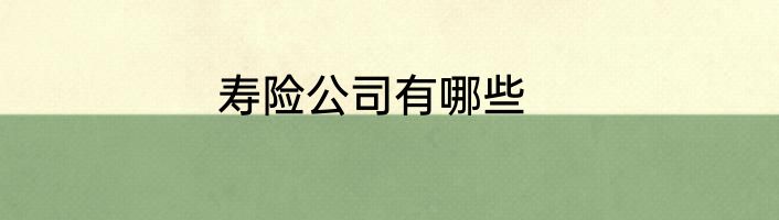寿险公司有哪些