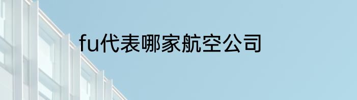 fu代表哪家航空公司