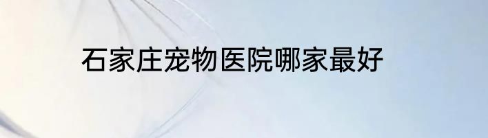 石家庄宠物医院哪家最好