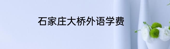 石家庄大桥外语学费