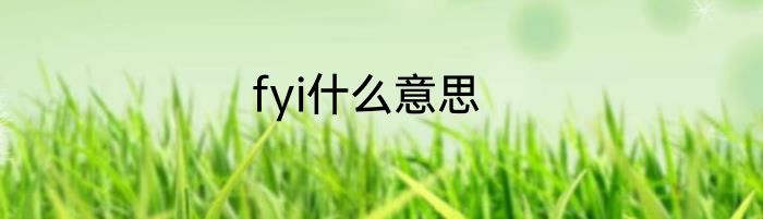 fyi什么意思