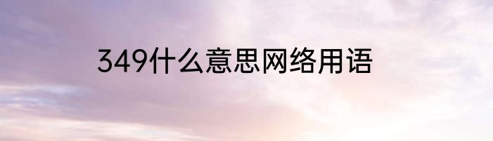 349什么意思网络用语