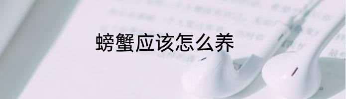 螃蟹应该怎么养