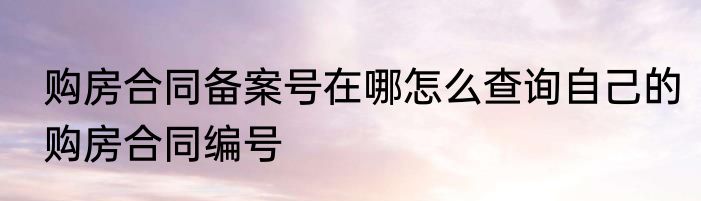 购房合同备案号在哪怎么查询自己的购房合同编号