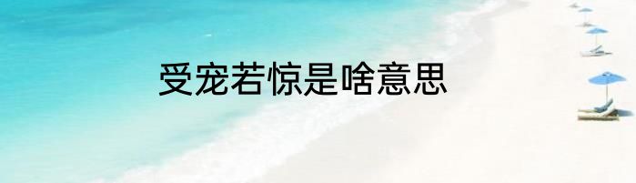 受宠若惊是啥意思