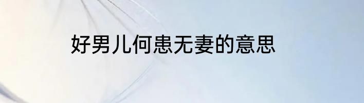 好男儿何患无妻的意思