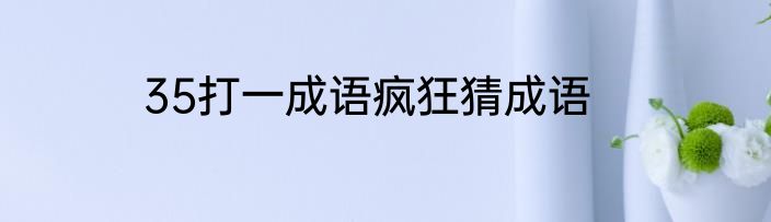 35打一成语疯狂猜成语