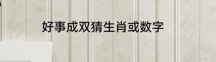好事成双猜生肖或数字