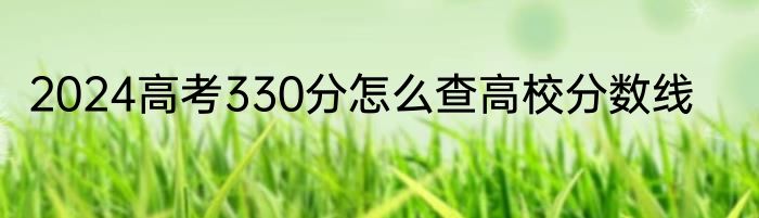 2024高考330分怎么查高校分数线