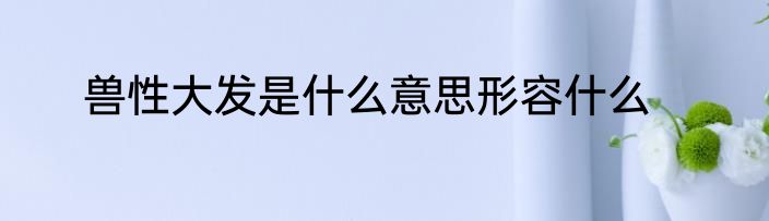 兽性大发是什么意思形容什么