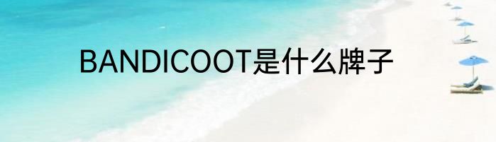 BANDICOOT是什么牌子