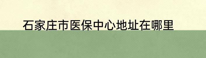 石家庄市医保中心地址在哪里