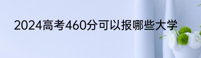 2024高考460分可以报哪些大学