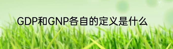 GDP和GNP各自的定义是什么