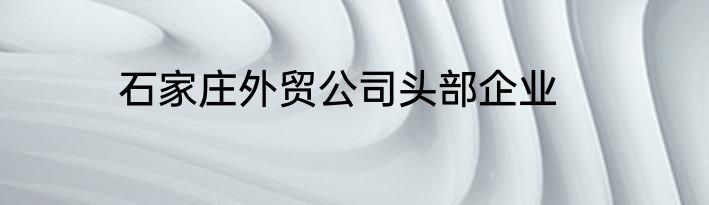 石家庄外贸公司头部企业