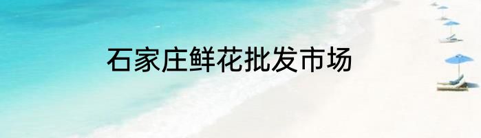 石家庄鲜花批发市场