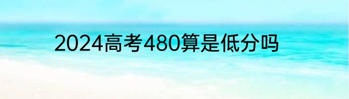 2024高考480算是低分吗