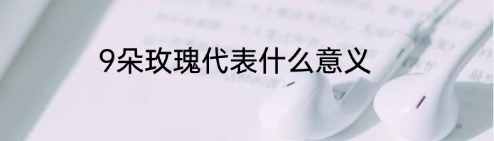 9朵玫瑰代表什么意义