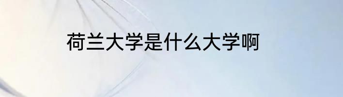 荷兰大学是什么大学啊