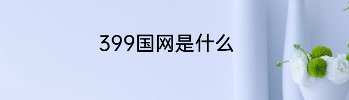 399国网是什么